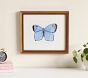 Jordan Connelly Soft Butterfly Framed Wall Art Collection