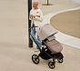 Bugaboo Fox 5 Complete Stroller