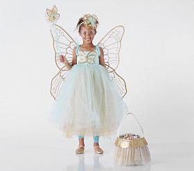 Kids Butterfly Fairy Costume - Mint | Pottery Barn Kids