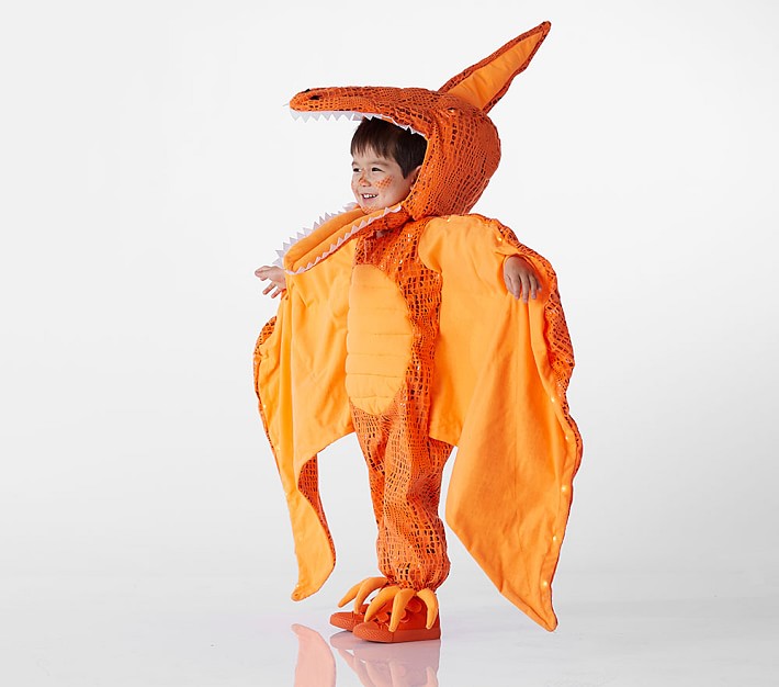 Light Up Pterodactyl Toddler Costume, 2T