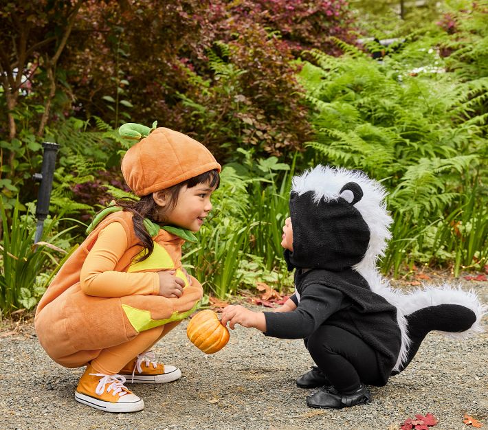 New Pottery Barn Kids BABY SKUNK Costume Toddler Infant 0-6 Months New Pottery Barn Kids BABY SKUNK Costume Toddler Infant 0-6 Months