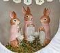 Peter Rabbit™ Flopsy™ Bunnies Lit Panorama Egg