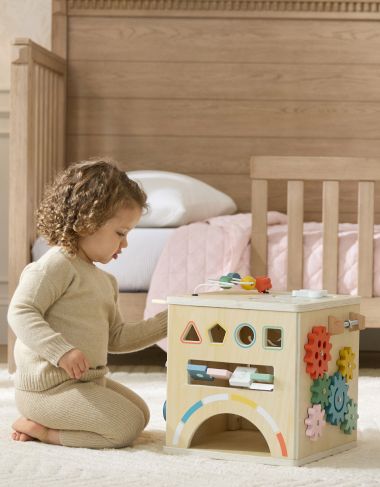 Baby Developmental Toys