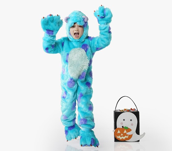 Open Box: Sulley Costume 12-24M | Pottery Barn Kids