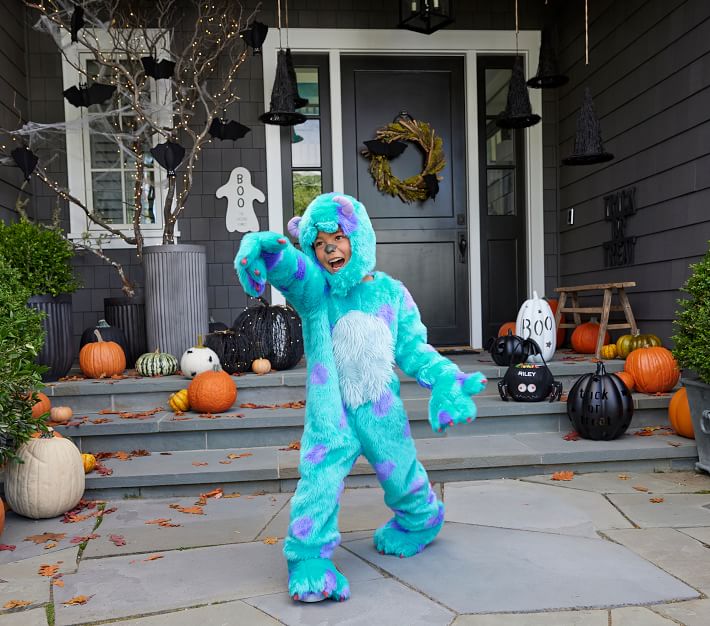 Disney and Pixar Monsters, Inc. Sulley Costume