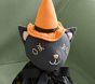 Halloween Witch Cat Designer Doll