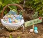 Peter Rabbit™ Garden Easter Basket Liners