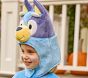 <i>Bluey</i> Family Costume Collection