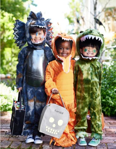 2T Toddler Halloween Costumes | Pottery Barn Kids