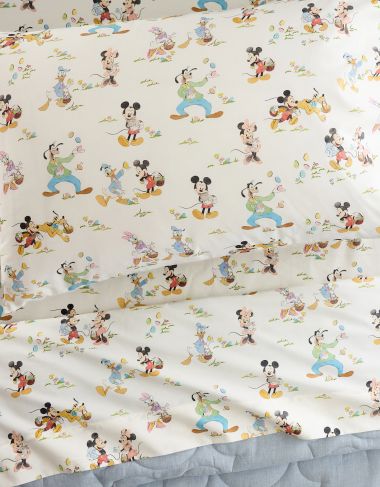 Disney Mickey &amp; Friends