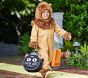 The Wizard of Oz™ Cowardly Lion™ Costume