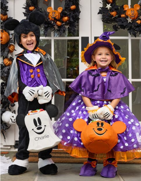 Disney Mickey Mouse And Minnie Mouse