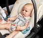 Cybex Gazelle S &amp; Aton G Travel System