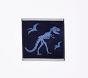 Dino Bones Bath Towel Collection
