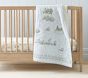 Riley Sheehey English Garden Baby Quilt