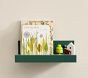 Mini Pop Color Shelf (3" x 12")