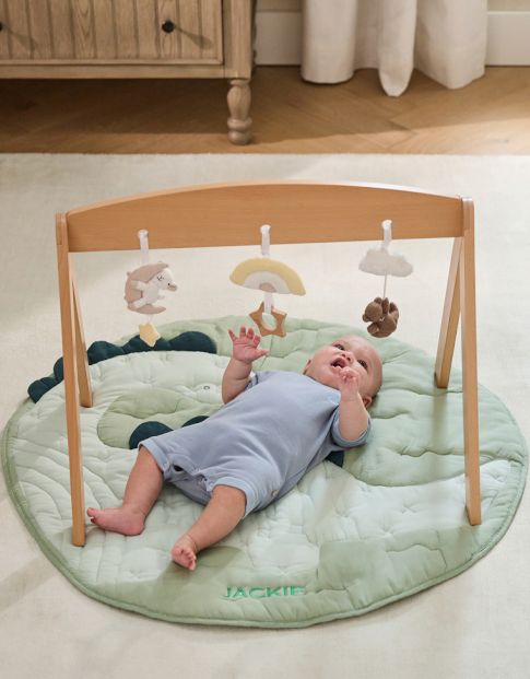 Activity Gyms &amp; Play Mats