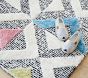 Izzy Multicolor Rug