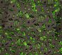 Space Ship Glow-in-the-Dark Sheet Set &amp; Pillowcases