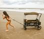 Wonderfold X2 Pull and Push Double Stroller Wagon