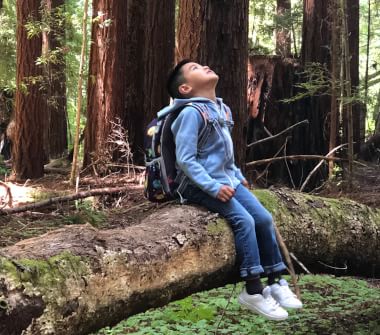 View Our Commitments