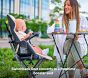 Veer Switch &amp; Jog Stroller