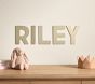Personalized Dibond Metal Finley Name