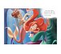 Little Princess Library (Disney Princess)