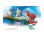 Little Princess Library (Disney Princess)