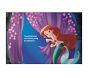 Little Princess Library (Disney Princess)