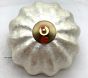 Open Box: Capiz Semi Flush Mount (12") - White, Summer Gold