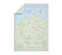 Daniel Dino Toddler Quilt (Crib Sized)