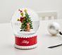 Dr. Seuss's The Grinch™ Light-Up Snow Globe