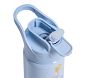 Disney Princess Cinderella Mackenzie Water Bottle