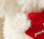 Valentine's Recordable Dog Plush