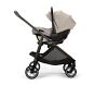 pbk x Nuna Exclusive SWIV™ &amp; PIPA™ aire RX Infant Travel System