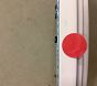 Open Box: Blush Scallop Mirror (30")