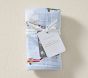 Airplane Organic Muslin Bib &amp; Burp Set