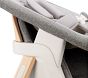 Nuna Bryn Newborn Rocker