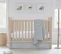 Rory End Panel Convertible Crib