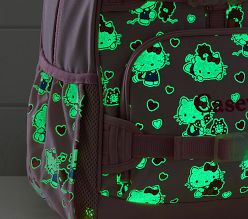 allintitle:best backpacks to carry laptops Best Laptop Backpack