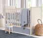 Rory End Panel Convertible Crib