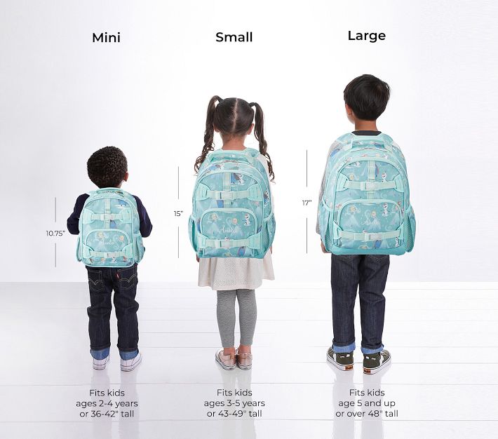 frozen mini backpack Disney and Lunch Box Bundle with Stickers, 11" (Frozen Preschool Toddler Set) : Clothing, Shoes & Jewelry and applique Disney Frozen Girls 17 inch