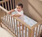 Airplanes Organic Crib Fitted Sheet