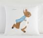 Peter Rabbit<sup>&trade;</sup> Sham