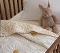 Dandy Daisy Baby Quilt
