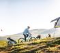 Thule Chariot Cross Single Bike Trailer
