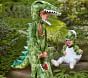 Baby T-Rex Egg Halloween Costume