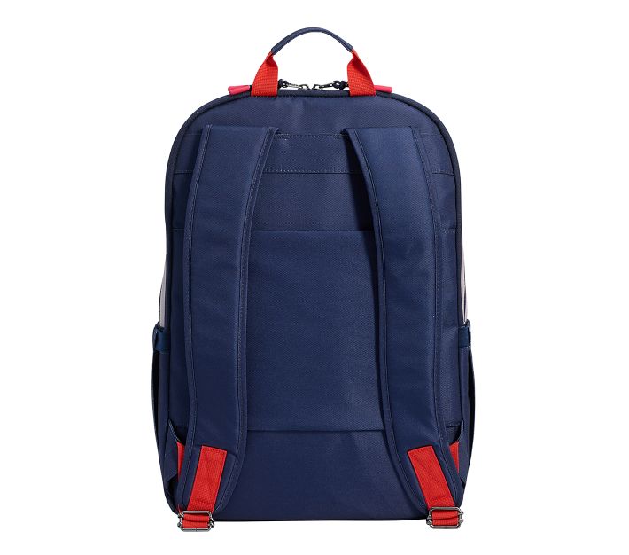 navy-faded-blue-larkspur-