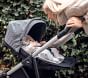 Thule Reversible Newborn Inlay